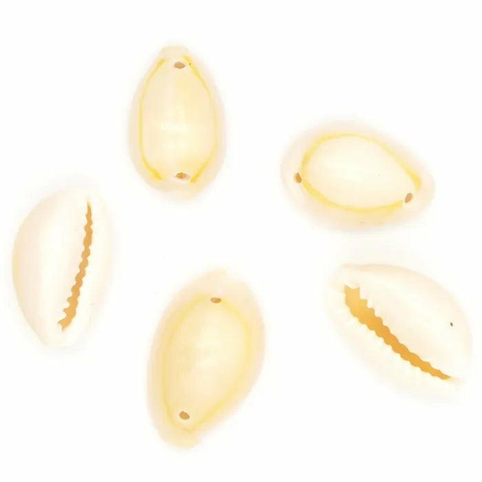 Shell Beads |   Cowrie Shell With 2 Holes Beads Jewellery Making Supplies Shell Beads