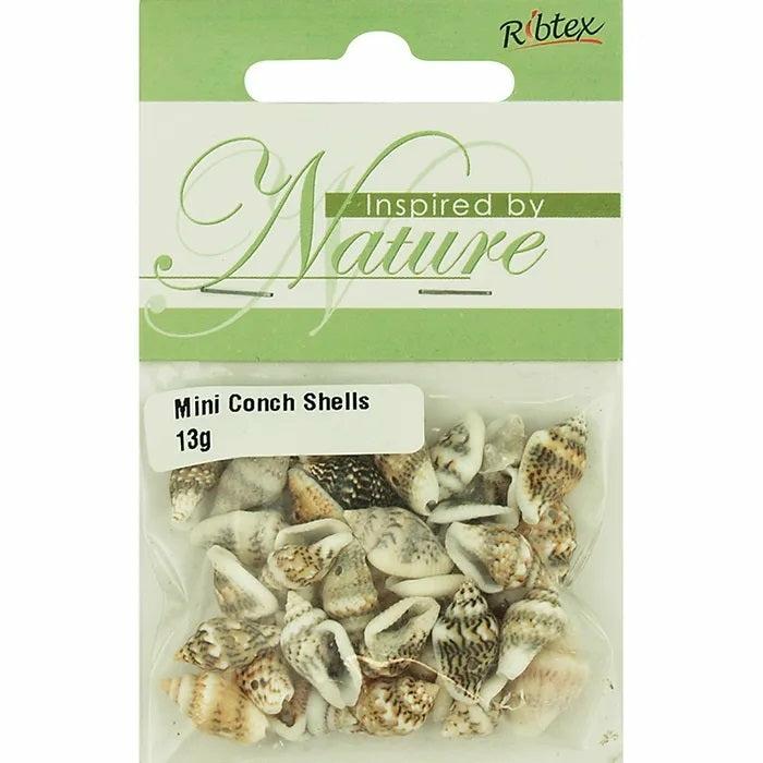 Shell Beads |   Mini Conch Shell Beads Jewellery Making Supplies Shell Beads